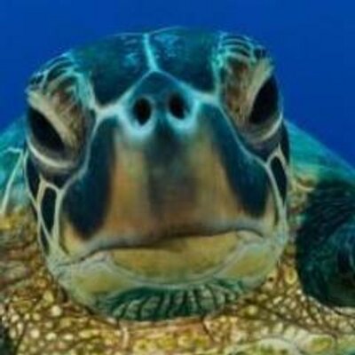 Profile Picture of David Braddock (@brdk5) on Twitter