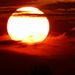 Profile Picture of Caroline HUTH (@carolinehuth) on Pinterest