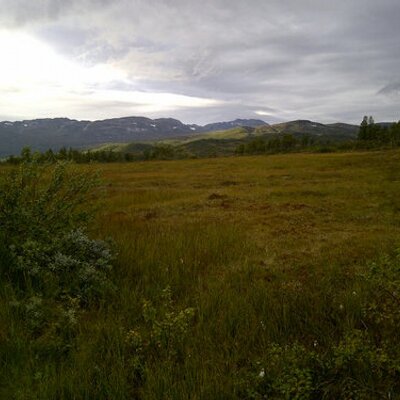 Profile Picture of Steven Johnsen (@Steven_Johnsen) on Twitter