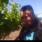 Profile Picture of Ambrosio Gomez (@Ambrosio-Gomez) on Facebook