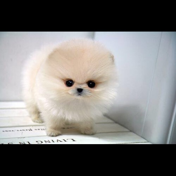 Profile Picture of Jula Levister (@jr272727) on Poshmark