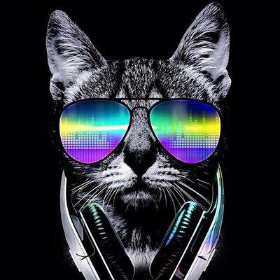 Profile Picture of Lapinox-32 (@StevensManon) on Twitter