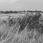 Profile Picture of Marion Mitchko (@mitchko_pln) on Instagram