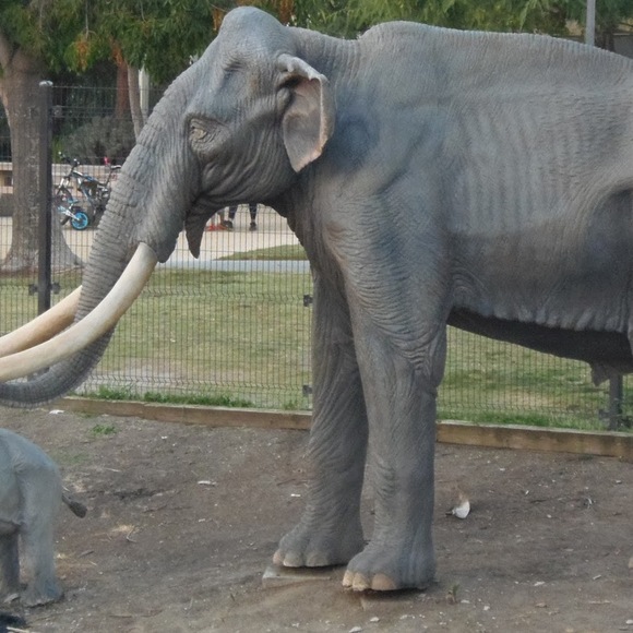 Profile Picture of Lucy Rivas (@lucyrivas24) on Poshmark