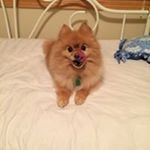Profile Picture of Scott Enerson (@enersonscott) on Instagram