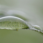 Profile Picture of sharp capture (@sharp capture) on Flickr