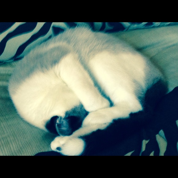 Layne Green - Poshmark Profile Picture of Layne Green (@awesome25) on Poshmark