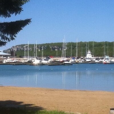 Profile Picture of Michael Sloss (@slossvet) on Twitter