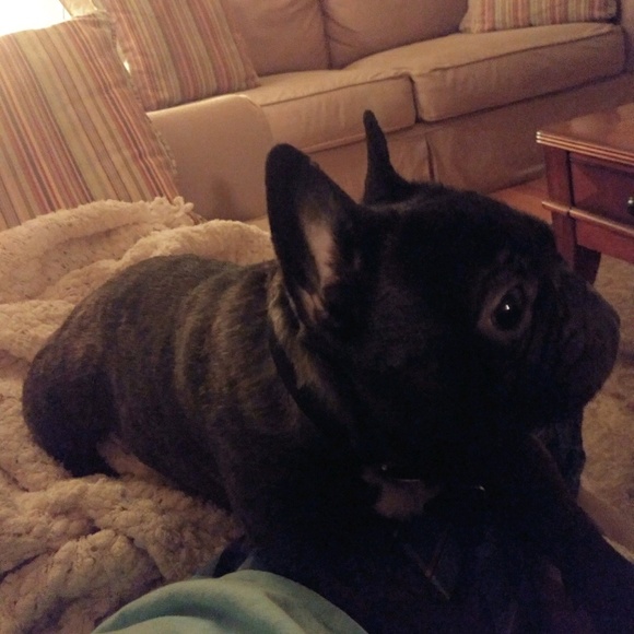 Audra Ragona - Poshmark Profile Picture of Audra Ragona (@audraragona) on Poshmark