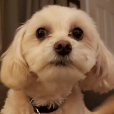 Profile Picture of Nancy Sessions (@NancySessions2) on Twitter