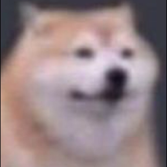 Alex Vides - Poshmark Profile Picture of Alex Vides (@alexvides) on Poshmark