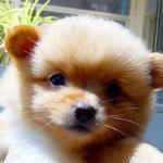 Profile Picture of nuttercassie (@nuttercassie) on Instagram