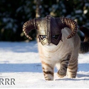 Profile Picture of Amanda Gilbert (@neshura) on Twitter