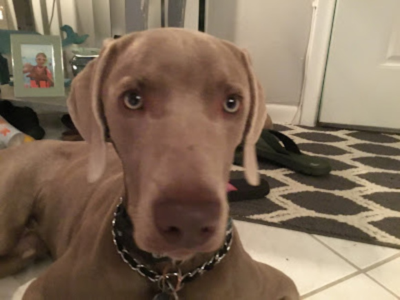 Profile Picture of Luke Jaskulka (@lejaskulka) on Poshmark