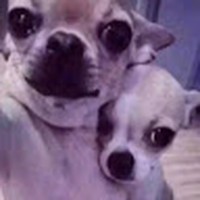 Profile Picture of Nayeli Guzman (@nayeli-guzman-27) on Quora