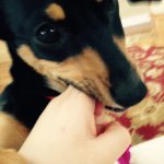 Profile Picture of Dianna Pate (@diannadulla) on Instagram