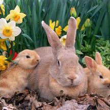 Profile Picture of Mackenzie Dowdy (@kenziedowdy1) on Twitter