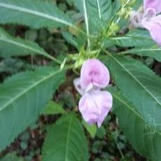 Profile Picture of Alexander Kost (@AlexanderKost3) on Twitter