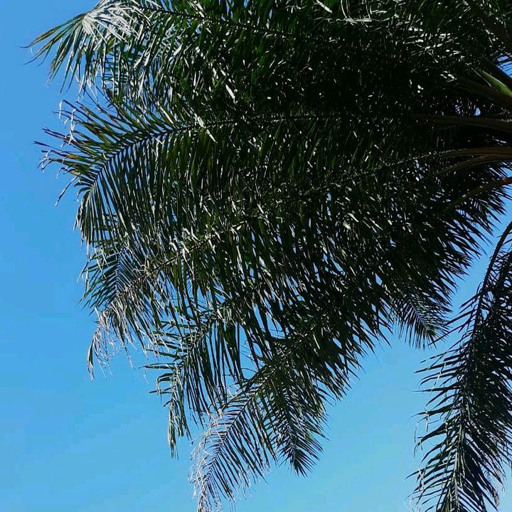 Profile Picture of ericschloemer655 (@ericschloemer655) on Tiktok