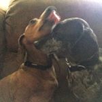 Profile Picture of Mark D. McAleer (@gasman3162018) on Instagram
