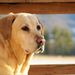 Profile Picture of Dawn Otten (@do3431) on Pinterest