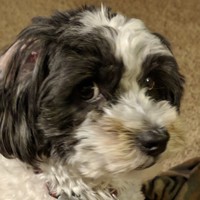 Profile Picture of Jesse Aiken (@jesse-aiken-1) on Quora