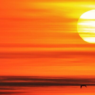 Profile Picture of Richard Feehan (@feehan_richard) on Twitter