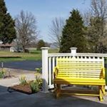 Profile Picture of Linda Branch (@branch.linda) on Instagram