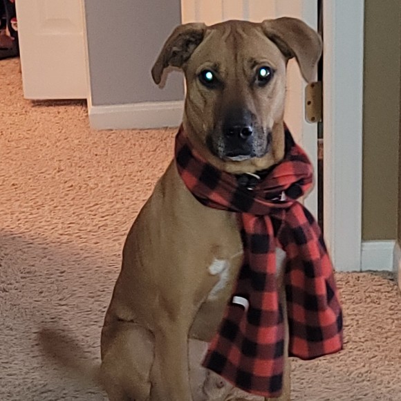 Profile Picture of Jason Allen (@gregoryja83) on Poshmark