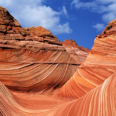 Profile Picture of Phyllis Hamilton (@PANNHamilton) on Twitter