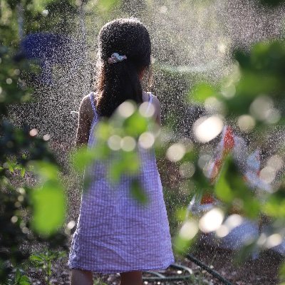 Profile Picture of Alice Dao (@AliceDao9) on Twitter