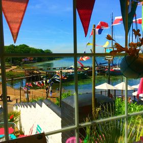 Profile Picture of Cindy Sunshine (@bigblossom) on Pinterest