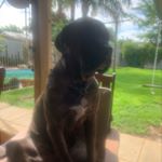 Profile Picture of Mandy Weaver (@mandyweaver117) on Instagram