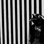 Profile Picture of Antonio Colonna (@esfald) on Flickr