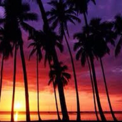 Profile Picture of Marcella Munoz (@munoz_marcella) on Twitter