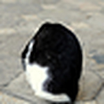 Profile Picture of Jael Kyle Ng (@j*kyle) on Flickr