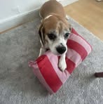 Profile Picture of Carl Mortensen (@Carl-Mortensen) on Facebook