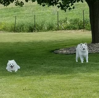 Profile Picture of Jodi Fitzsimons (@jodi.dobson.31) on Facebook