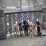 Profile Picture of Verena Mannhart Corina Bianchi (@real_love_of_silken) on Instagram