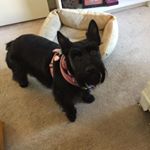 Profile Picture of Dara Cope Watson (@daracopewatson) on Instagram