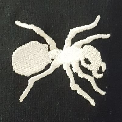 Profile Picture of Joe Mott (@motti82) on Twitter