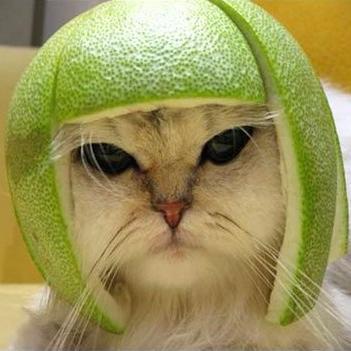 Profile Picture of Thomas (@Natsu8kime9) on Twitter