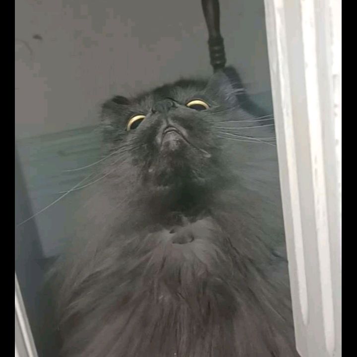 Profile Picture of james brasseur (@jb123911) on Tiktok