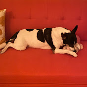 Profile Picture of Kendall Curtis (@kendallcurtis2438) on Youtube