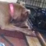 Profile Picture of nathanboykin (@nathanboykin33) on Instagram