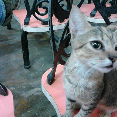 Diego Mantilla - Twitter Profile Picture of Diego Mantilla (@diegomantilla71) on Twitter