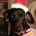 Profile Picture of Stephanie Gauthier (@stephanie.gauthier.5621) on Facebook