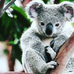 Profile Picture of Steven diver (@steven.diver) on Instagram