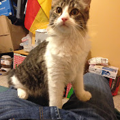 Profile Picture of Danny Espinosa (@Danespy) on Youtube