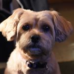 Profile Picture of Richard Dao (@easymailnow) on Instagram